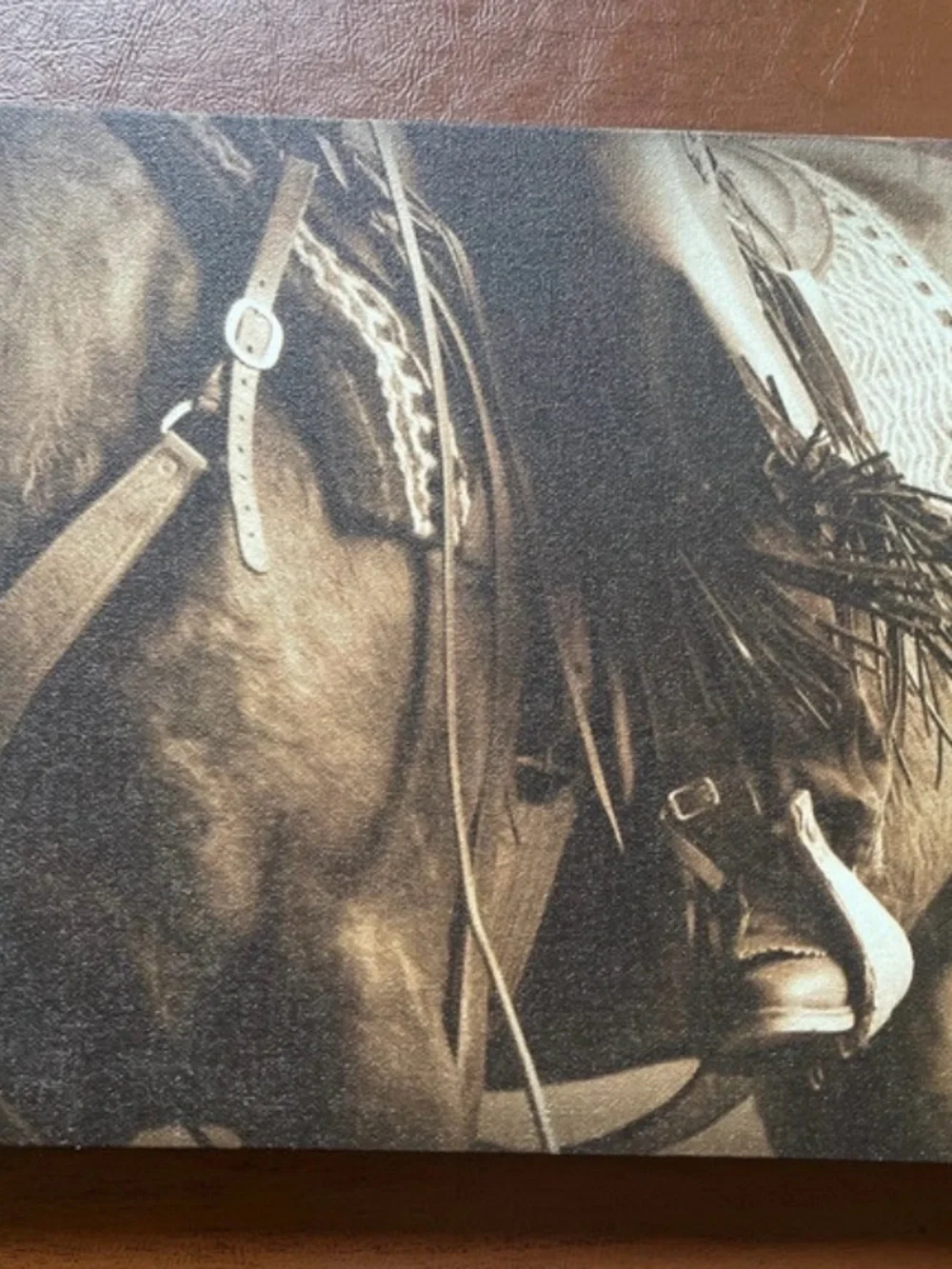 Western Horse Canvas Wall Art Set - Sepia Tone